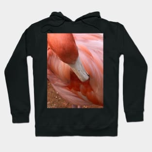 Flamingo Hoodie